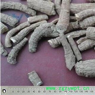 川白芷之遂宁白芷红皮无硫小统货 道地白芷 常年有大货 产地直销 遂宁市船山区图3