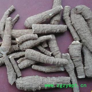 川白芷之遂宁白芷红皮无硫小统货 道地白芷 常年有大货 产地直销 遂宁市船山区图4