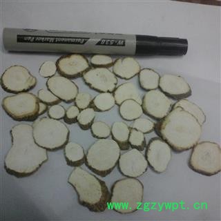 川白芷之遂宁白芷一二三级圆片 道地白芷 产地直销 常年有大货 遂宁市船山区图2