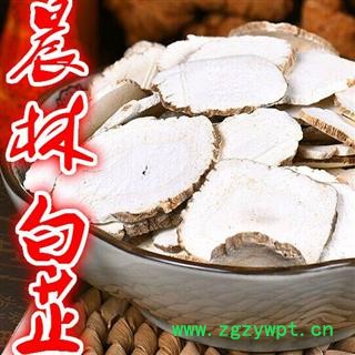 川白芷之遂宁白芷一二三级圆片 道地白芷 产地直销 常年有大货 遂宁市船山区图3