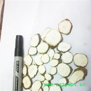 川白芷之遂宁白芷一二三级圆片 道地白芷 产地直销 常年有大货 遂宁市船山区图4