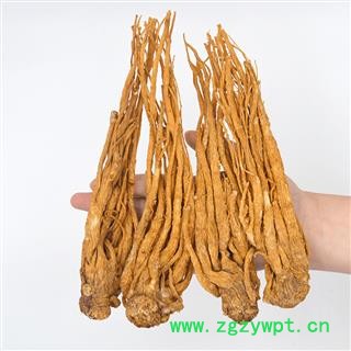 岷当归 全当归大条18枝 产地 甘肃省定西市岷县图3