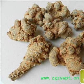 （包邮）三七 特级文山15头三七 产地 云南省文山壮族苗族自治州文山县图3