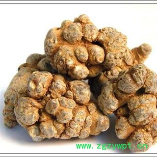 （包邮）三七 特级文山15头三七 产地 云南省文山壮族苗族自治州文山县图2