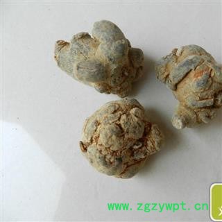 （包邮）三七 特级文山15头三七 产地 云南省文山壮族苗族自治州文山县图4