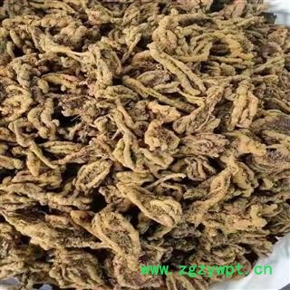 川黄连 黄连 产地 四川省产图2