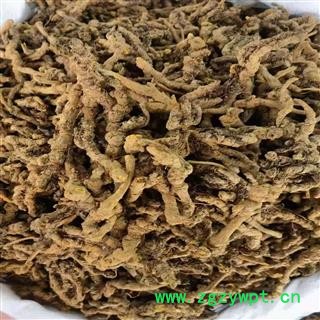 川黄连 黄连 产地 四川省产图3