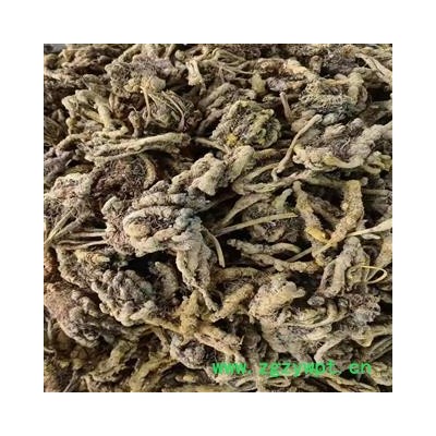 川黄连 黄连 产地 四川省产