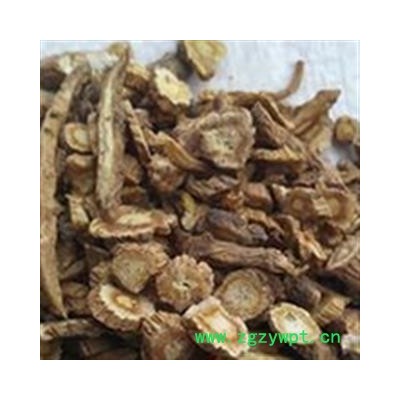 防风 0.4筛选片 产地 甘肃省陇南市宕昌县