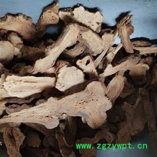 白术 统 产地 浙江省图3