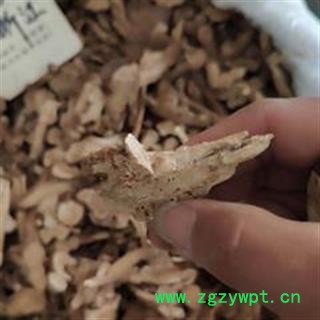 白术 统 产地 浙江省图4