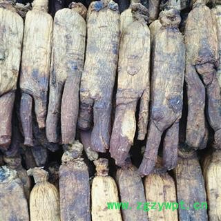 高丽参 正宗北朝鲜产高丽参20支醇香味浓 产地 吉林省白山市抚松县图3