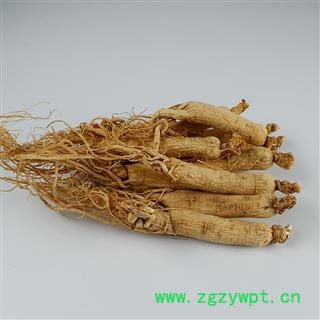 人参 生晒参30-35支 产地 吉林省白山市抚松县图2