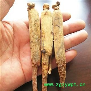 高丽参 35支无糖高丽参 产地 吉林省白山市抚松县图2