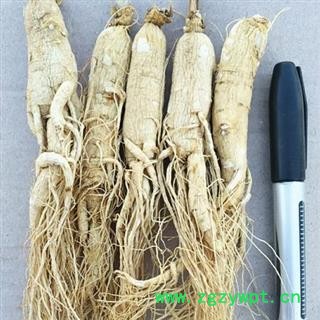 人参 生晒参20-25支参龄6年以上，无流，无虫蛀，纯干 产地 吉林省白山市抚松县图3
