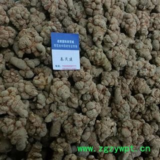 三七14头 三七标准14头 原生态 足干 未打蜡（1斤正好14个） ( 下单送量勺 )产地 云南省文山壮族苗族自治州文山县图3