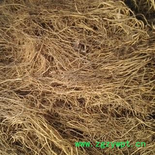 辽细辛 水洗  净货 产地 辽宁省抚顺市新宾满族自治县图4