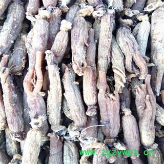 红参 无糖红参20-25支，纯干，无杂质，产地直供 产地 吉林省白山市抚松县图2