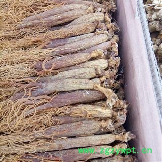 红参 全须红参35支，纯无糖，产地直供，假一赔十 产地 吉林省白山市抚松县图2