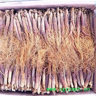 红参 全须红参35支，纯无糖，产地直供，假一赔十 产地 吉林省白山市抚松县图3