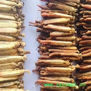 人参 高丽参，16支，产地直供，假一赔十 产地 吉林省白山市抚松县图2