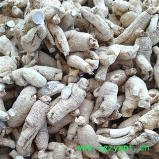 西洋参 西洋参粒头25-30g 产地 吉林省白山市抚松县图2