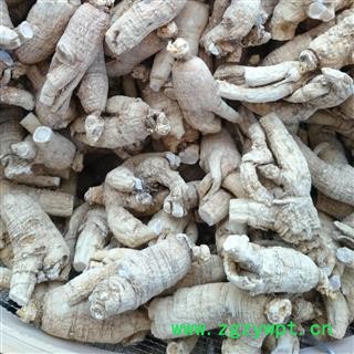 西洋参 西洋参粒头25-30g 产地 吉林省白山市抚松县图3