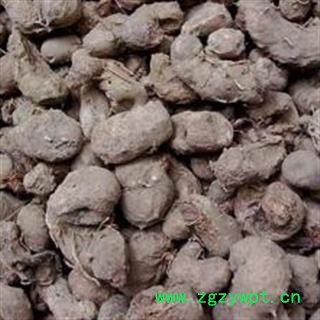 水田七 水三七 土三七 屈头鸡 正品 优质 支持验货图2