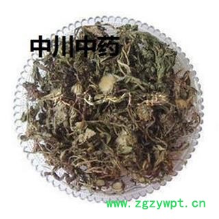 蒲公英，河北统货，库存5000可售