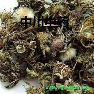 蒲公英,河北统货,库存5000可售图2
