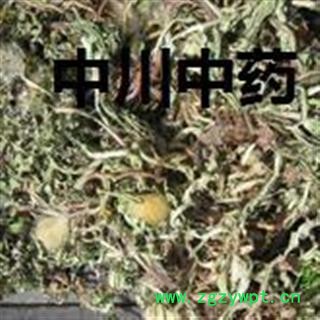 蒲公英,河北统货,库存5000可售图3