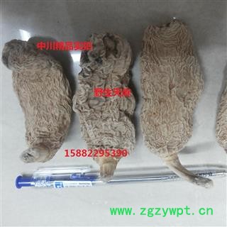 中川精品无硫野生春天麻 30到35克每支  四川产地直销   库存500可售图2