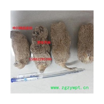 中川精品无硫野生春天麻 30到35克每支  四川产地直销   库存500可售