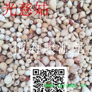 恒海康源堂（光慈姑）山慈姑 山茨菇 冰球子产地 云南省图3