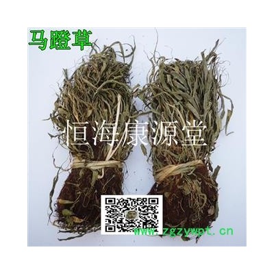 恒海康源堂中药材批发 马蹬草 过桥草 还阳草 小石韦 马蹬草 马灯草
