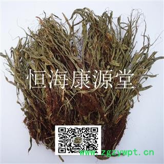 恒海康源堂中药材批发 马蹬草 过桥草 还阳草 小石韦 马蹬草 马灯草图3