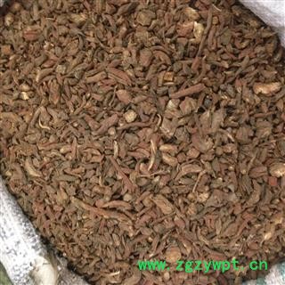 丹参 统装 产地 河北省保定市图2