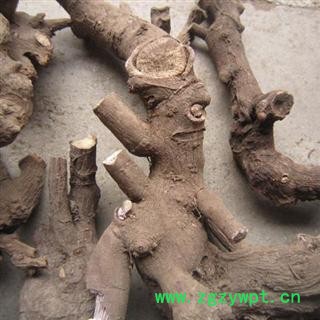 赤芍 统 产地 陕西省商洛市柞水县图2