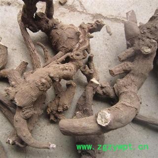 赤芍 统 产地 陕西省商洛市柞水县图3