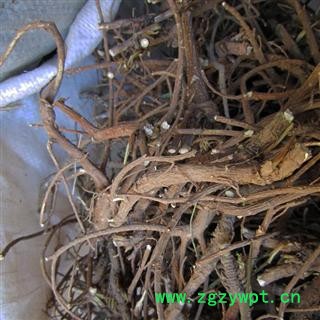 柴胡 统 产地 陕西省商洛市柞水县 库存1500公斤可售图3