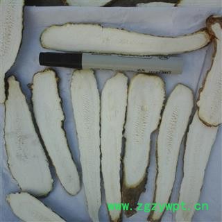 川白芷之遂宁白芷特一级大斜片 道地白芷 产地直销 常年有大货 遂宁市船山区图3