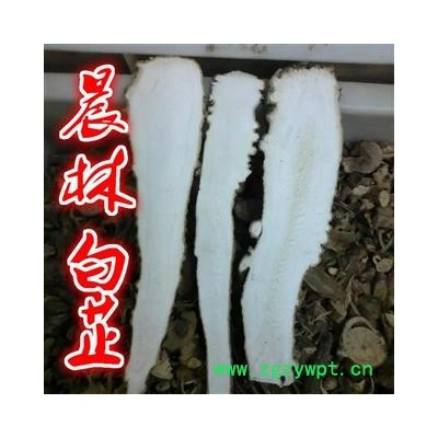 川白芷之遂宁白芷特一级大斜片 道地白芷 产地直销 常年有大货 遂宁市船山区