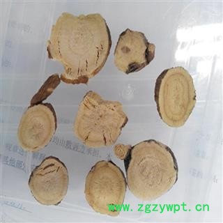 苦参 苦参圆片选片 产地 内蒙古自治区图3