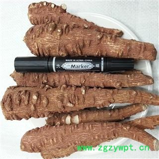 川白芷之遂宁白芷红皮选装特一级 道地白芷 产地直销 常年有大货 遂宁市船山区图2