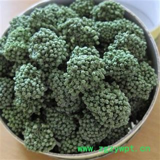 （包邮）文山三年三七花三七花 质询电话15288688820图3