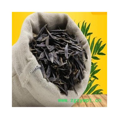 板蓝根种子　大叶板蓝根