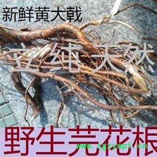 芫花根晒干芫条根头痛花树根蜀桑浮胀草莞花根 选 产地 湖北省黄冈市麻城市中药材图2
