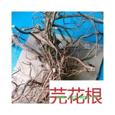 芫花根晒干芫条根头痛花树根蜀桑浮胀草莞花根 选 产地 湖北省黄冈市麻城市中药材