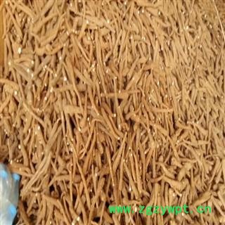 红皮白芷  四级货 重庆市产图4