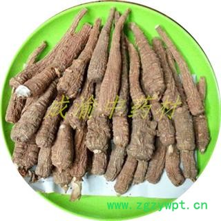 红皮白芷  四级货 重庆市产图2